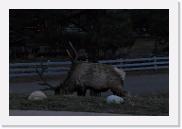 DSC_4107 * 3872 x 2592 * (4.74MB)