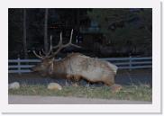 DSC_4108 * 3872 x 2592 * (5.5MB)