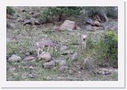 DSC_7373 * 3872 x 2592 * (6.84MB)