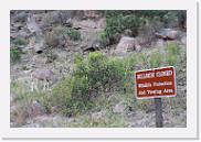 DSC_7374 * 3872 x 2592 * (7.28MB)