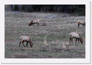 DSC_4777 * 3872 x 2592 * (6.23MB)