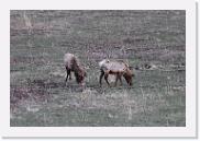 DSC_4778 * 3872 x 2592 * (6.84MB)