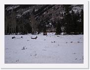 IMG_0312 * 3648 x 2736 * (2.34MB)