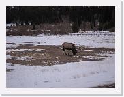 IMG_0313 * 3648 x 2736 * (2.26MB)