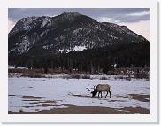 IMG_0314 * 3648 x 2736 * (2.4MB)