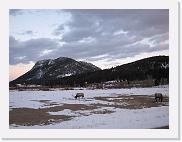 IMG_0315 * 3648 x 2736 * (2.02MB)