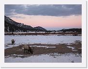 IMG_0316 * 3648 x 2736 * (2.3MB)