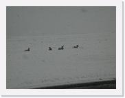 DSCN5854 * 2048 x 1536 * (1.15MB)