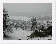 DSCN5861 * 2048 x 1536 * (962KB)