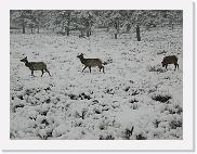 DSCN5863 * 2048 x 1536 * (930KB)