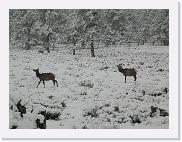 DSCN5864 * 2048 x 1536 * (956KB)