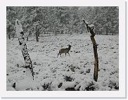 DSCN5865 * 2048 x 1536 * (941KB)