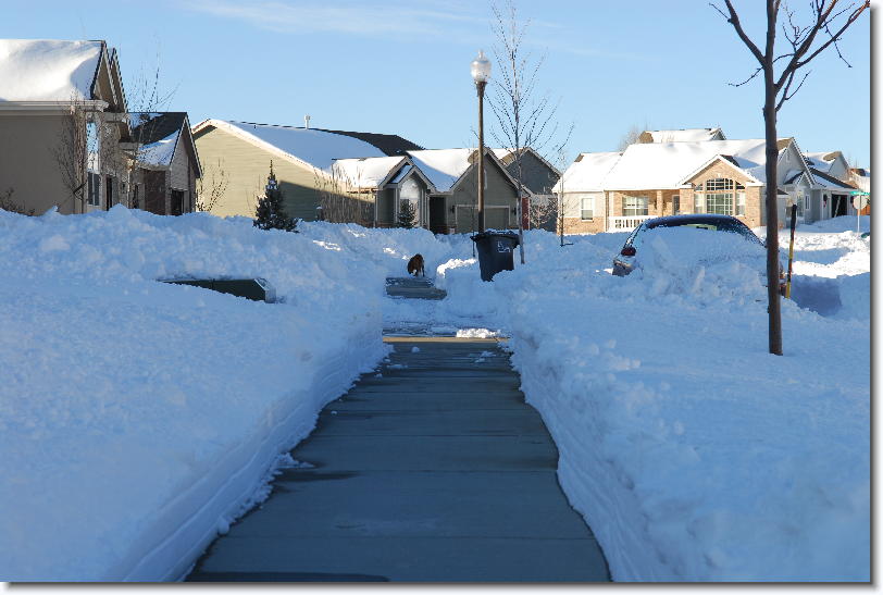 Click for the original image